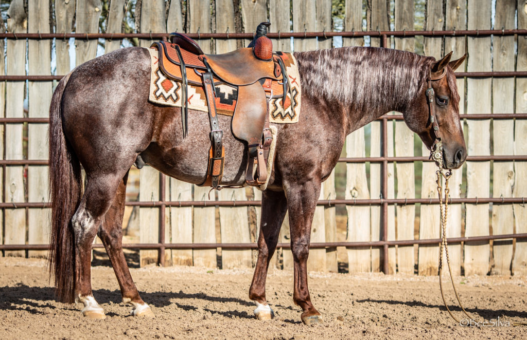 G2 Performance Horses ONE SMOOTH MATE - 2013 Red Roan Stallion - G2  Performance Horses